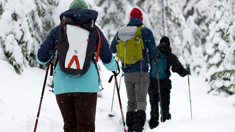 Three people cross-country ski in the snow