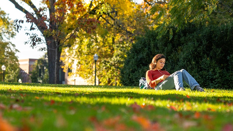 A female student sits under a tree with autumn leaves on the ground